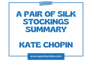 A Pair of Silk Stockings Summary