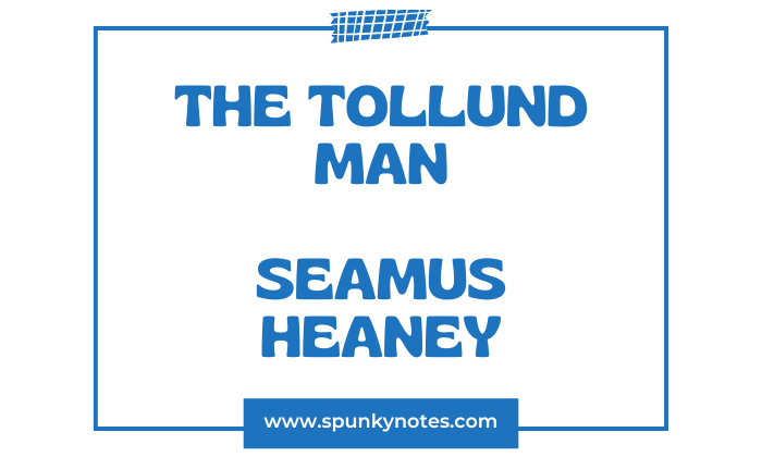 The Tollund Man