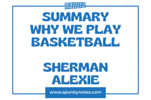 Why We Play Basketball Summary