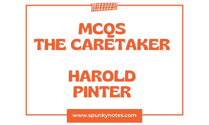 The Caretaker MCQs