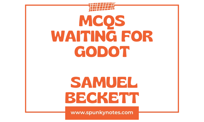 Waiting for Godot MCQs