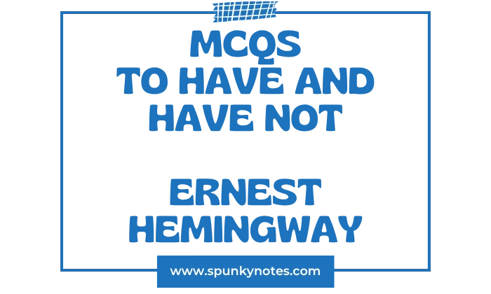 To Have and Have Not MCQs