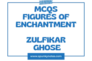 Figures of Enchantment MCQs