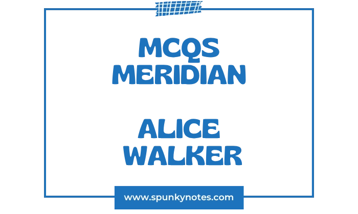 Meridian MCQs