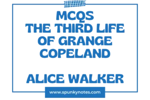 The Third Life of Grange Copeland MCQs