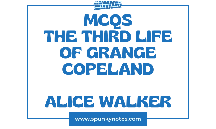 The Third Life of Grange Copeland MCQs